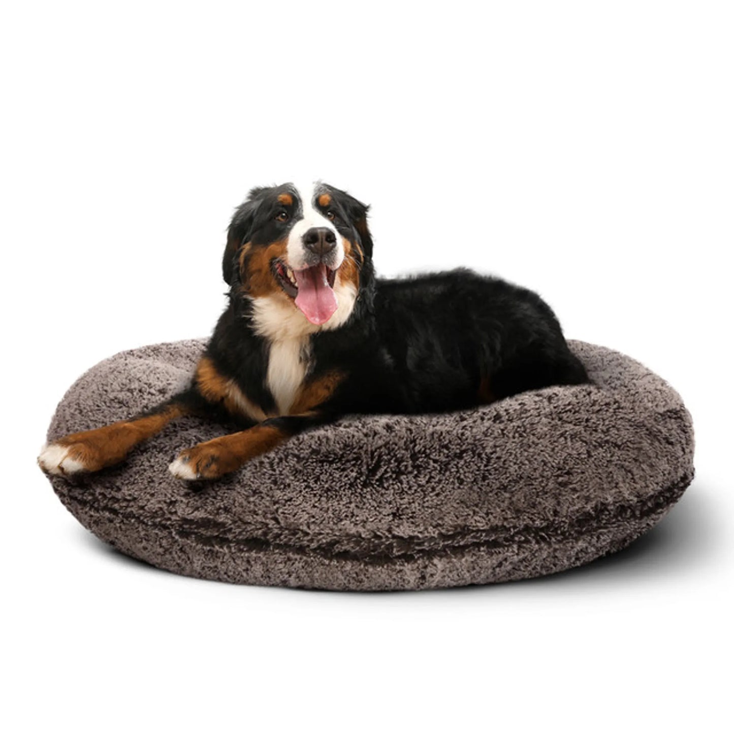 Bagel Bed SM - Blondie - Your Pet Connection
