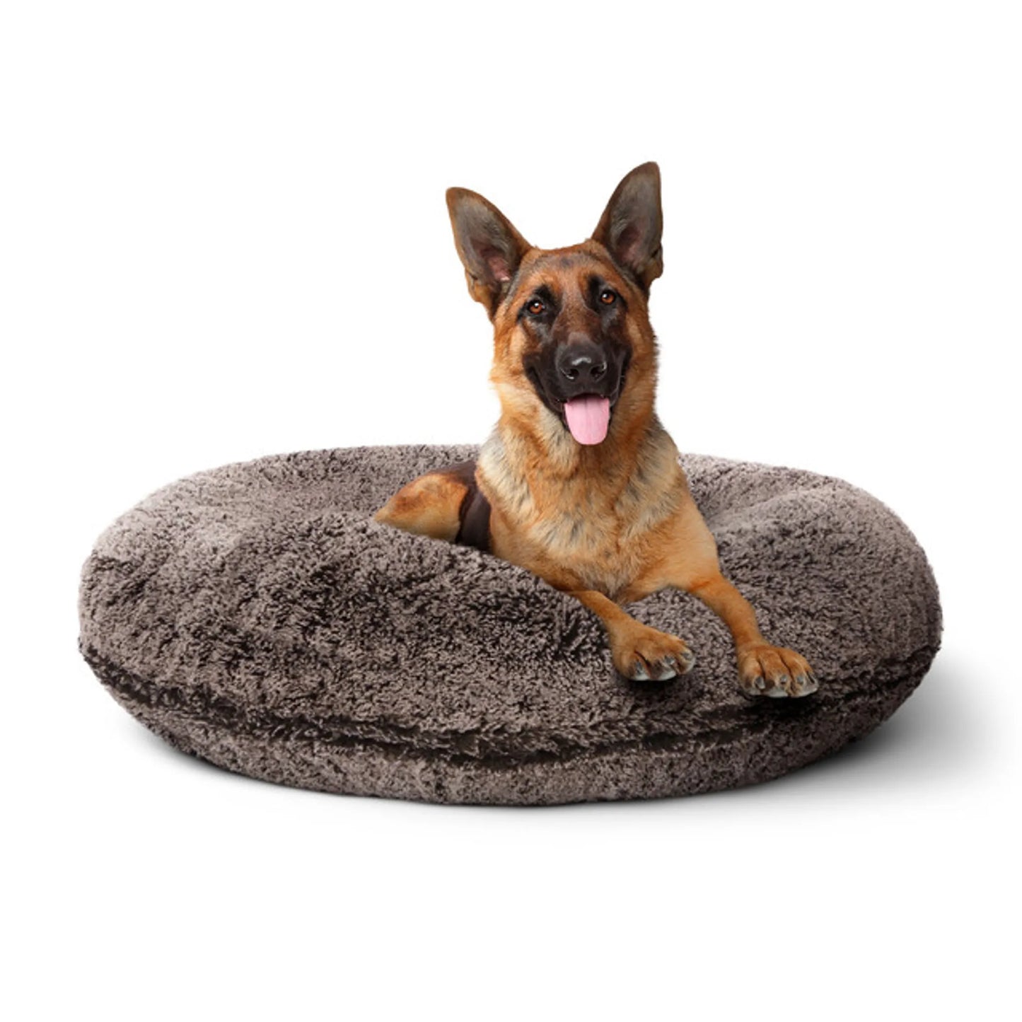 Bagel Bed SM - Blondie - Your Pet Connection