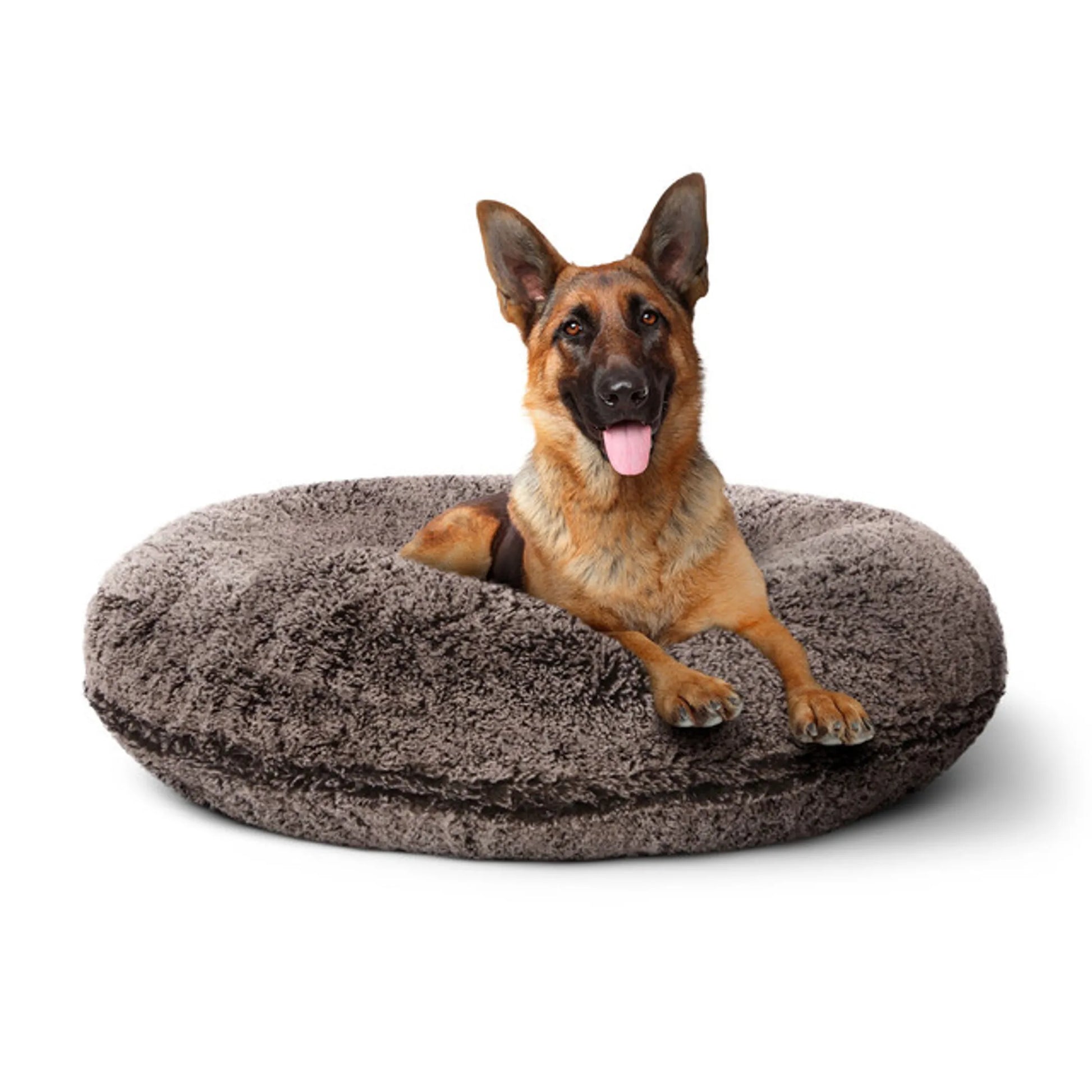 Bagel Bed SM - Blondie - Your Pet Connection