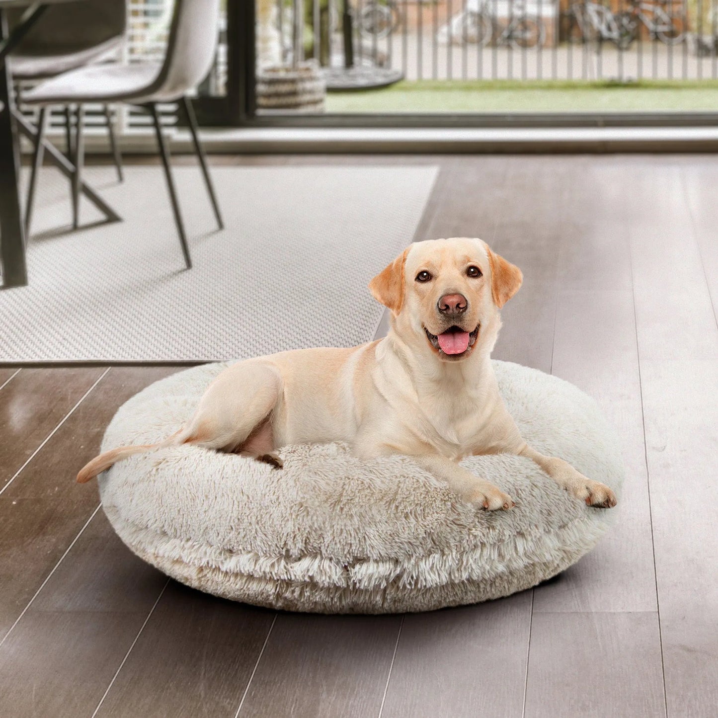 Bagel Bed SM - Blondie - Your Pet Connection