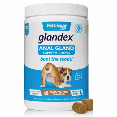 Glandex Anal Gland Support Chews Peanut Butter Flavor