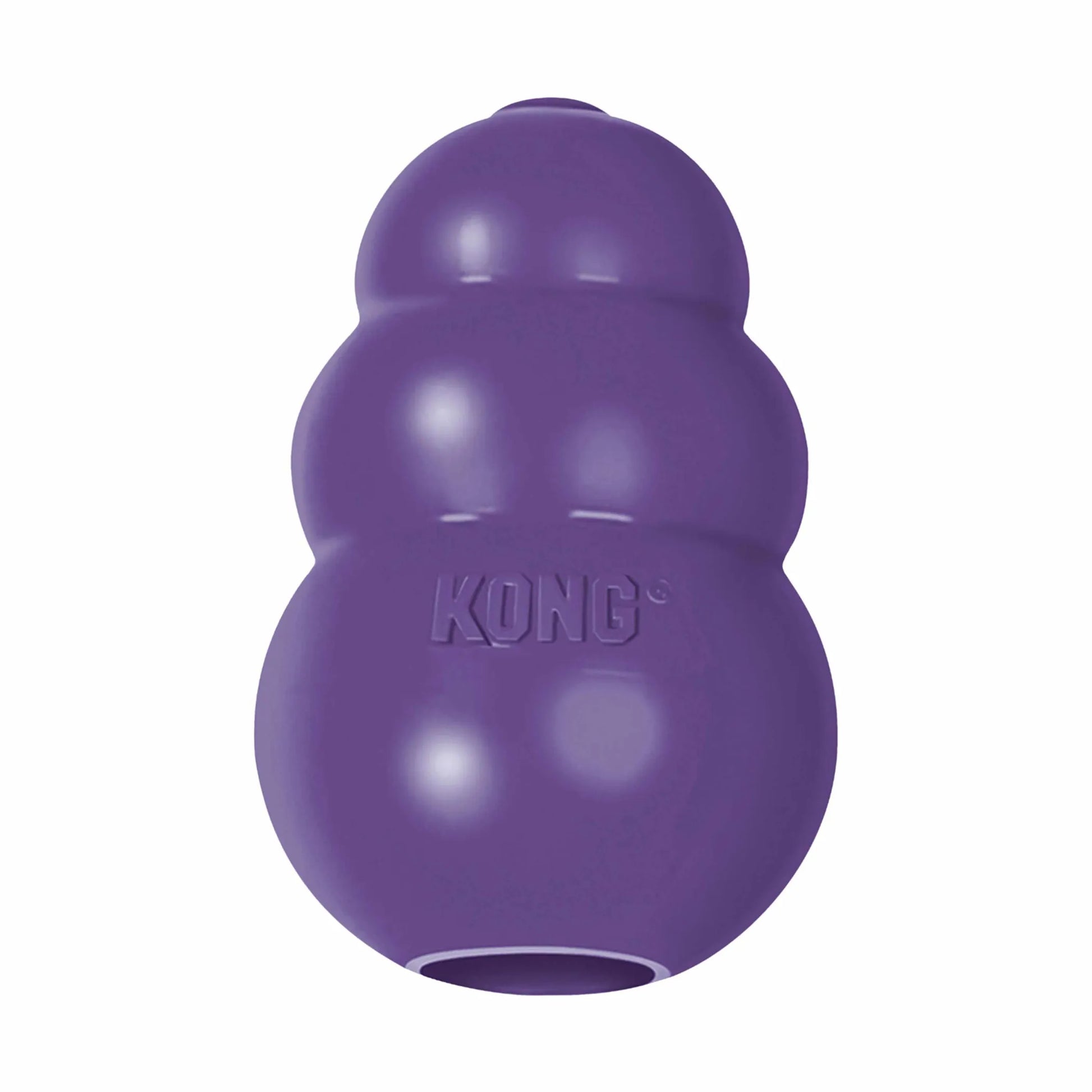 KONG(R) Senior Dog Chew Toy - Your Pet Connection