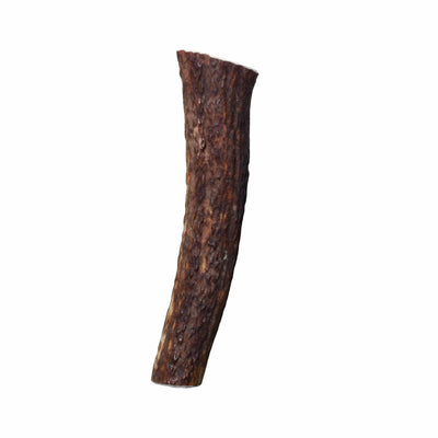 KONG(R) Wild Antler Whole - Your Pet Connection