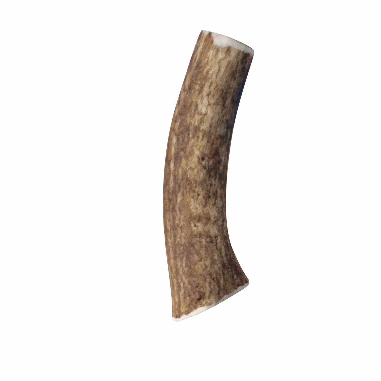 KONG(R) Wild Antler Whole - Your Pet Connection
