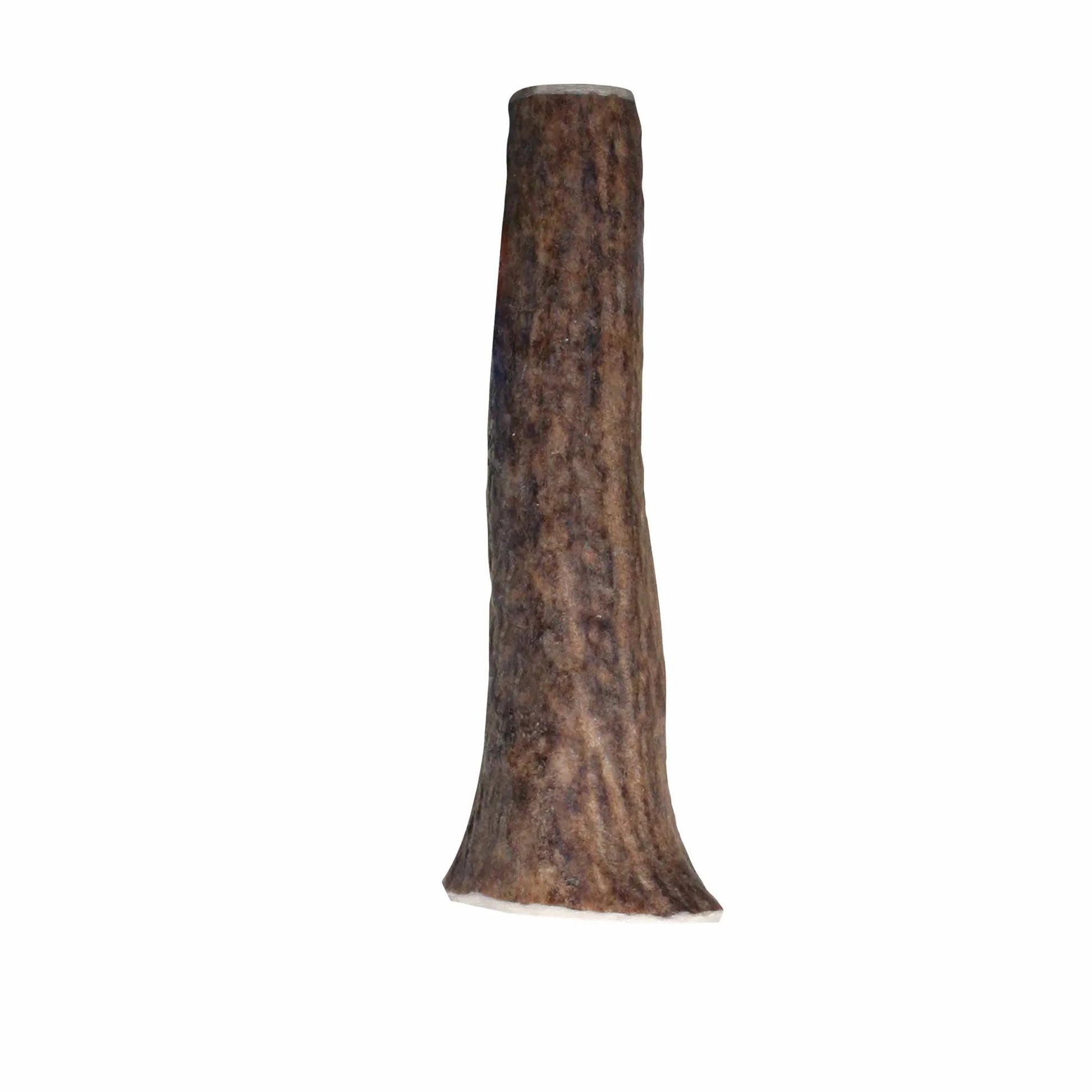 KONG(R) Wild Antler Whole - Your Pet Connection