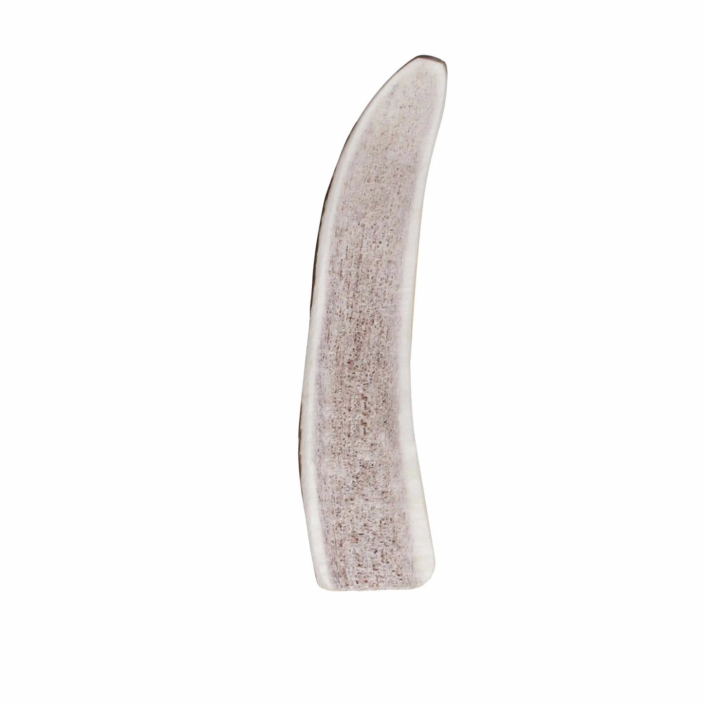 KONG(R) Wild Antler Split - Your Pet Connection