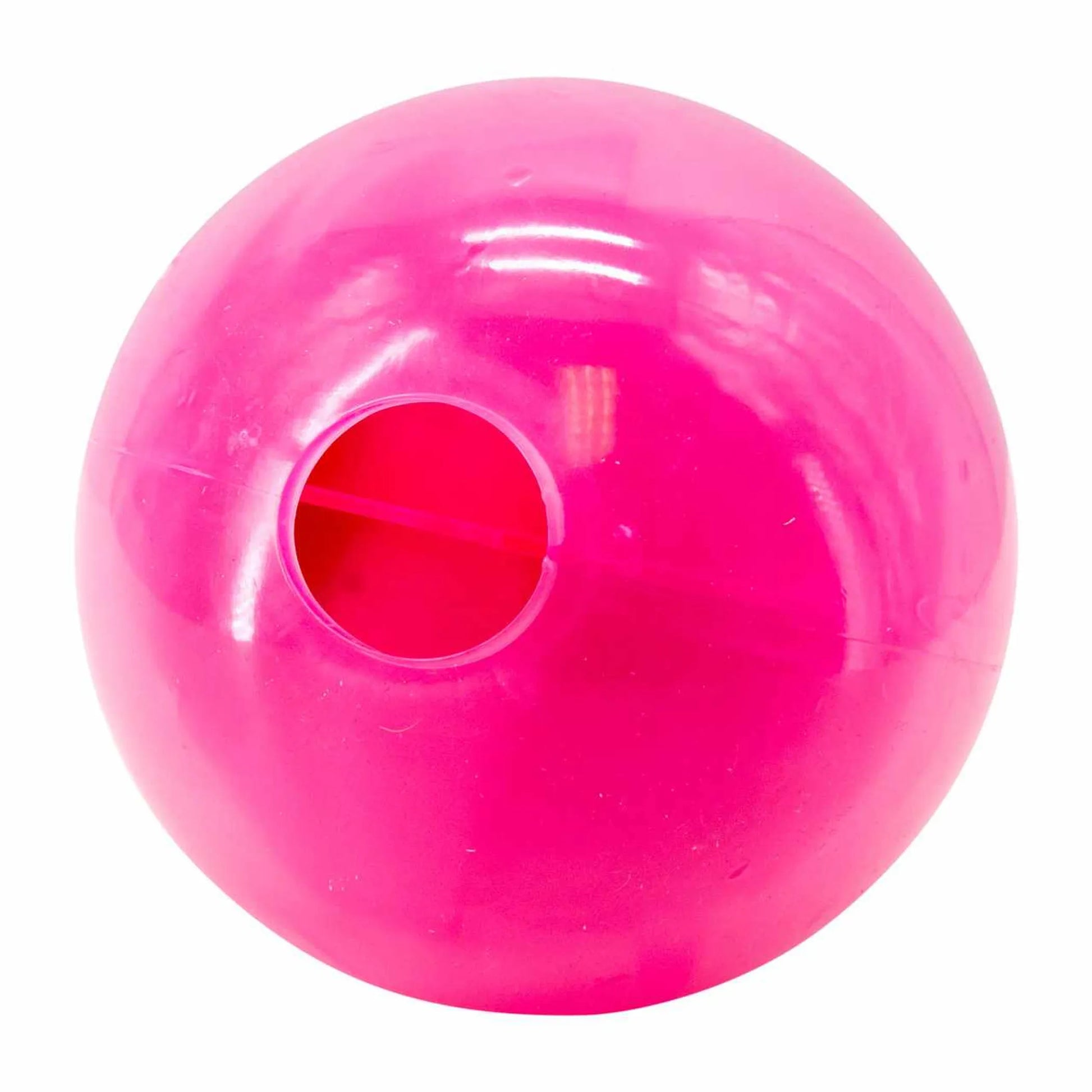 Planet Dog Orbee-Tuff Mazee Interactive Puzzle Dog Toy - Your Pet Connection