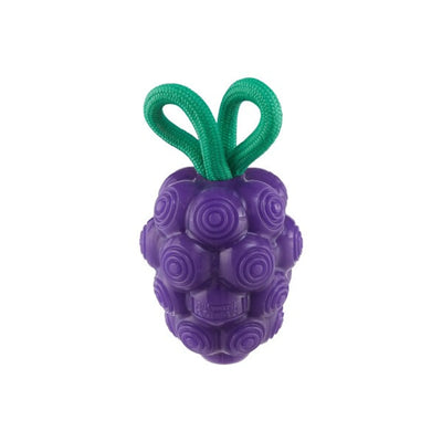 Planet Dog Dental Grapes Dog Chew Toy Purple Medium - Your Pet Connection
