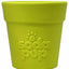 SodaPup Rubber  Flower Pot Durable Treat Dispenser Dog Toy - Your Pet Connection