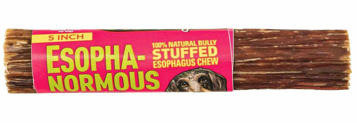 Etta Says! Esopha-normous Bully Stuffed Esophagus Chew Indiv. - Your Pet Connection
