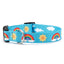 Up Country Sport Rainbows and Sunshine Collar - Your Pet Connection
