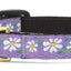 Up Country Daisy Cat Collar - Your Pet Connection