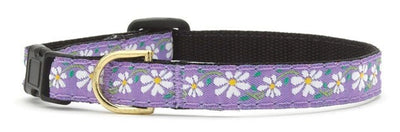 Up Country Daisy Cat Collar - Your Pet Connection