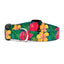 Up Country Sport Hibiscus Collar - Your Pet Connection