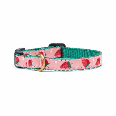 Up Country Strawberry Fields Cat Collar - Your Pet Connection