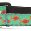 Up Country Tropical Fish Cat Collar - Your Pet Connection