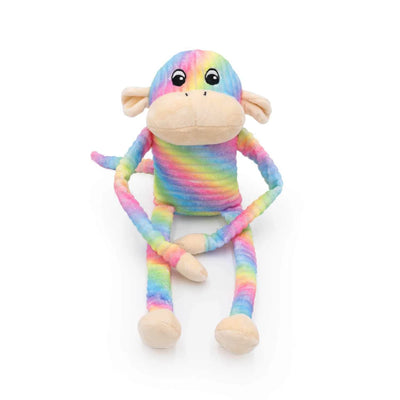 ZippyPaws Spencer the Crinkle Monkey - Large Rainbow - Your Pet Connection