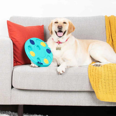 ZippyPaws Collapsible Travel Dog Bowl with Ripstop Waterproof Lining