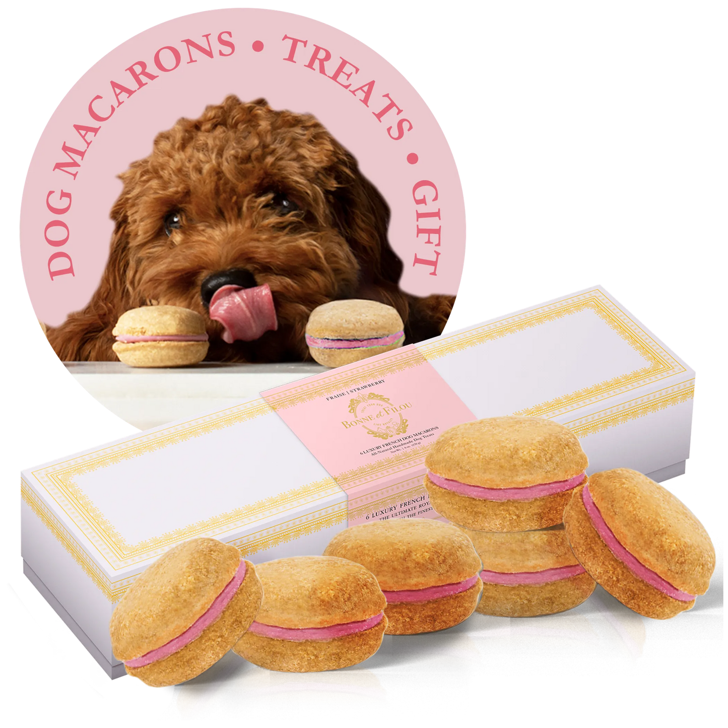 Dog Macarons - Box of 6 (Available in 12 Flavors) - Your Pet Connection