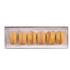 Dog Macarons - Box of 6 (Available in 12 Flavors)