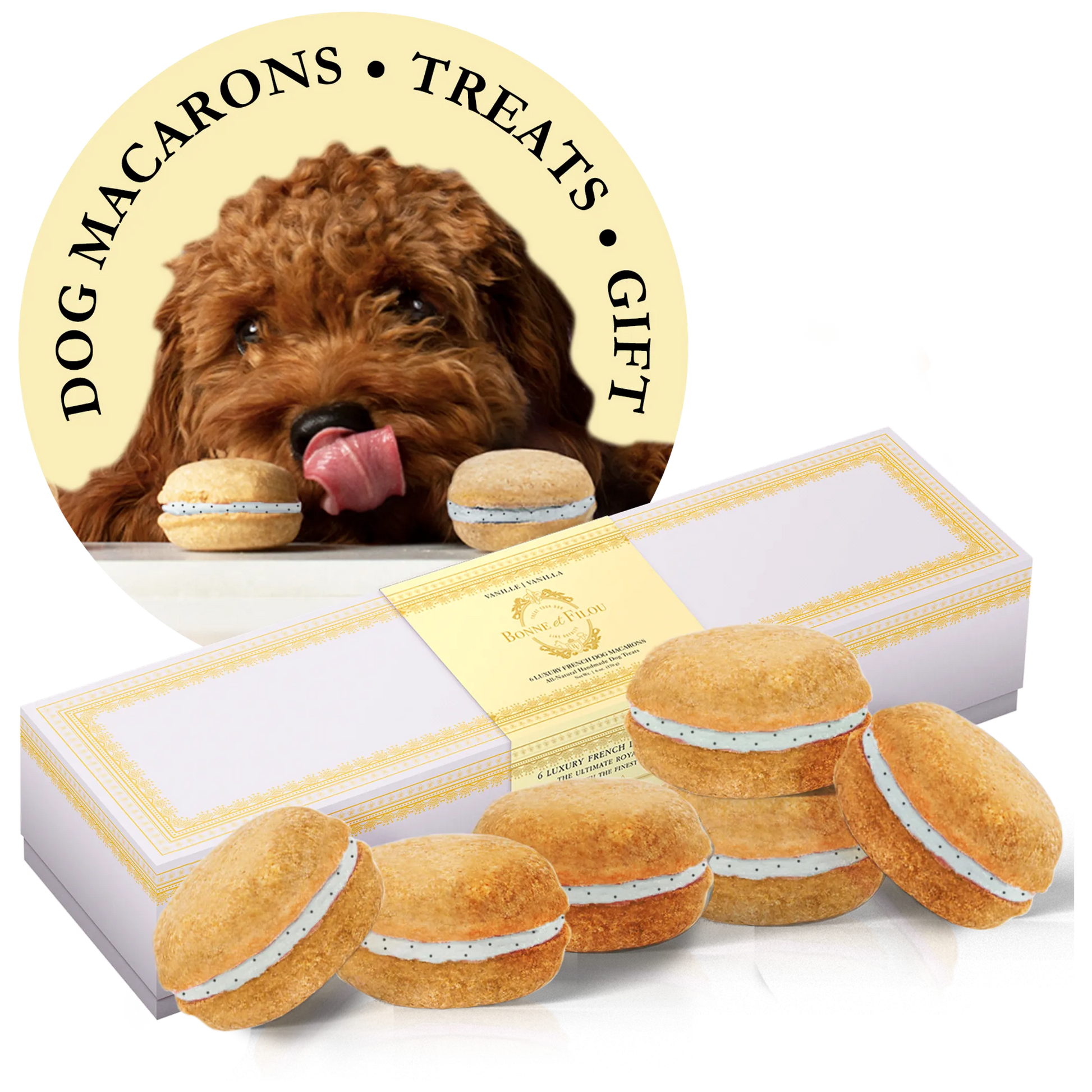 Dog Macarons - Box of 6 (Available in 12 Flavors) - Your Pet Connection