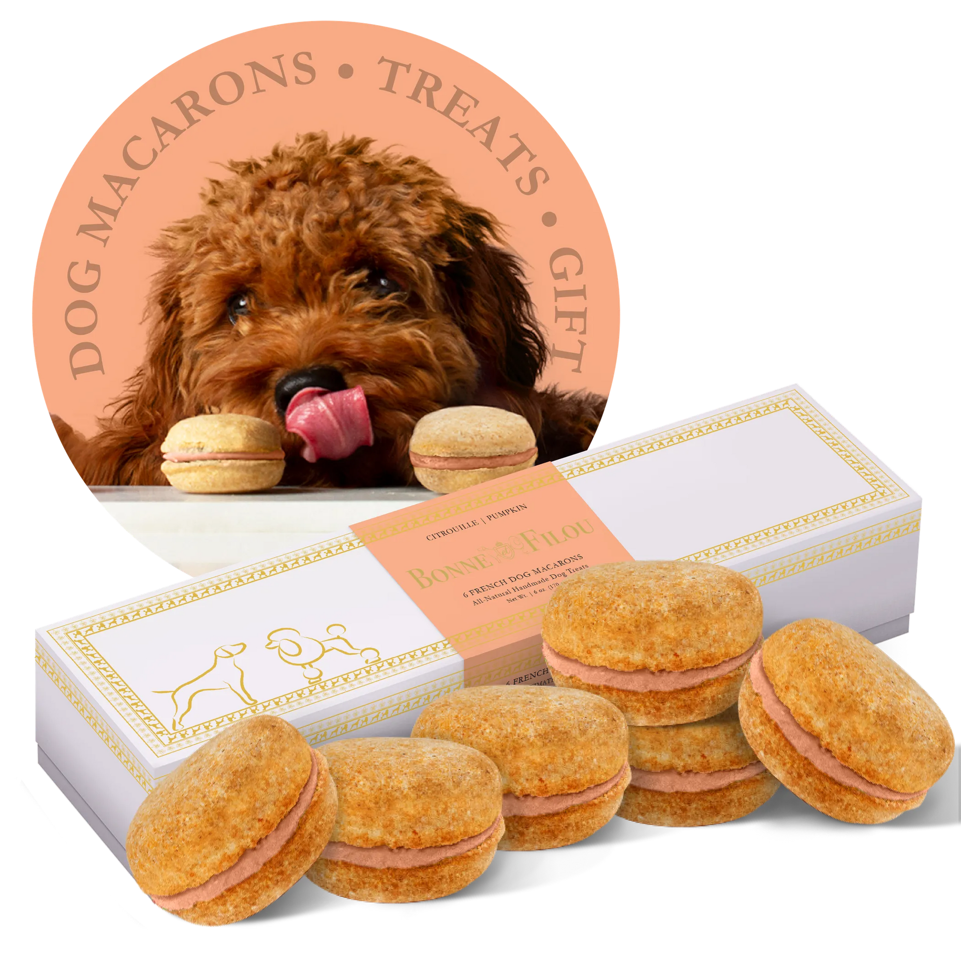 Dog Macarons - Box of 6 (Available in 12 Flavors) - Your Pet Connection