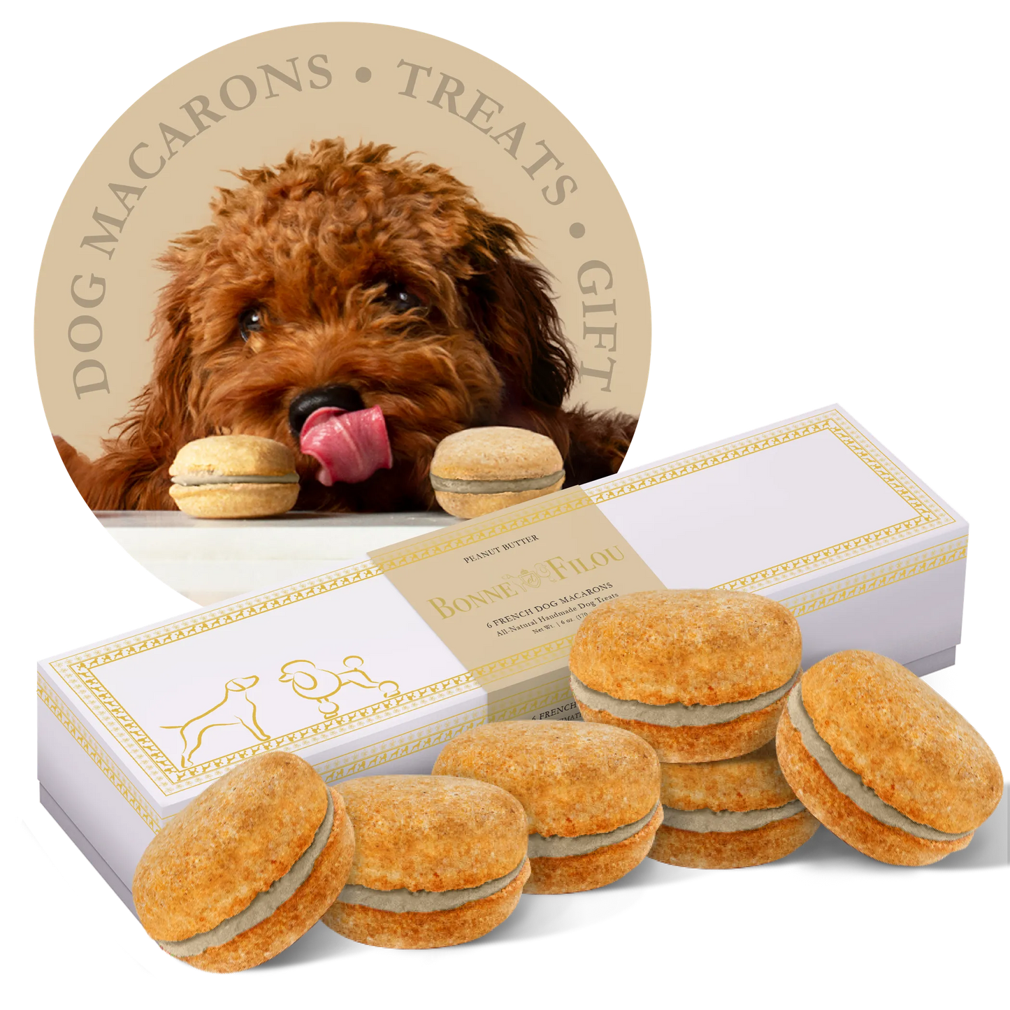 Dog Macarons - Box of 6 (Available in 12 Flavors) - Your Pet Connection