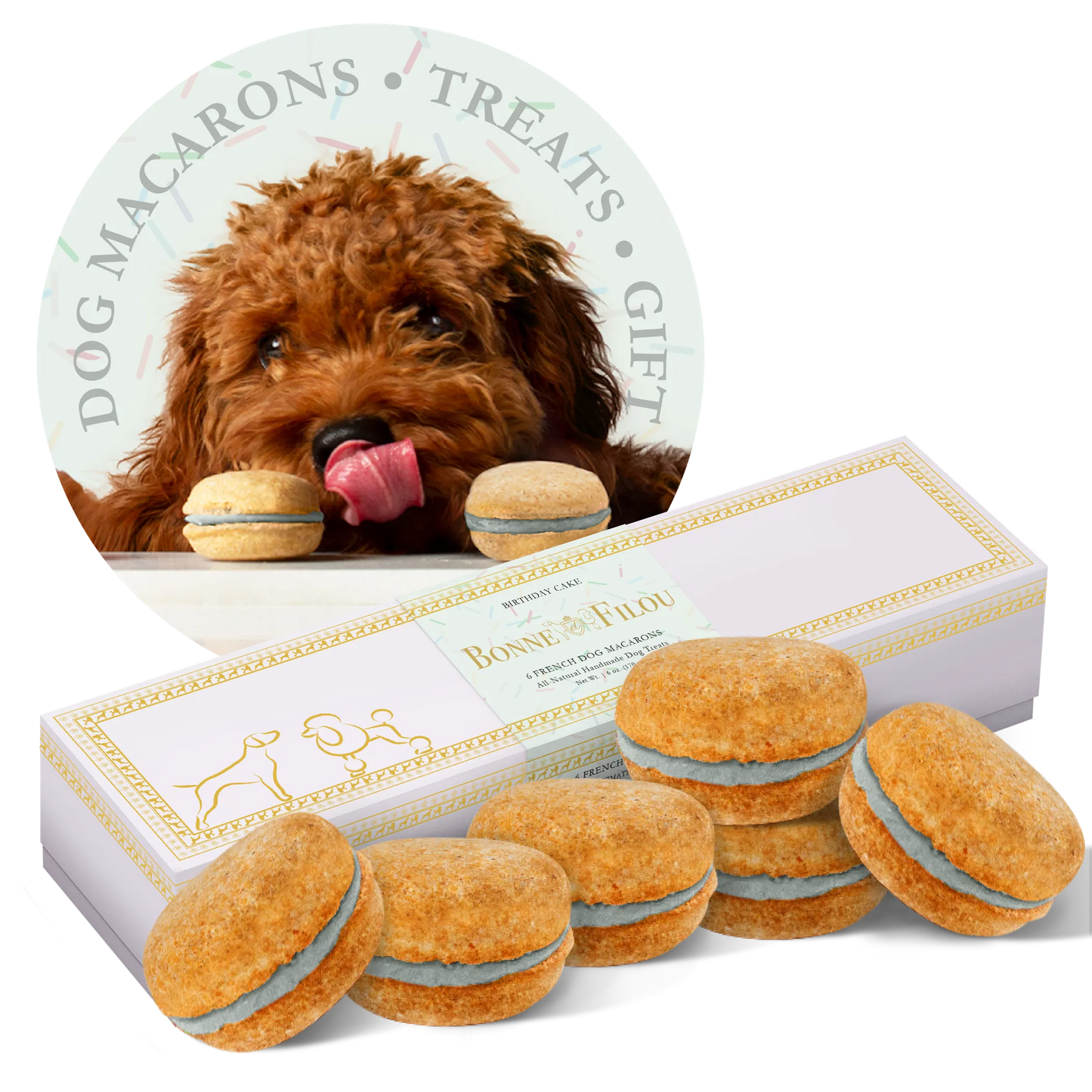 Dog Macarons - Box of 6 (Available in 12 Flavors) - Your Pet Connection