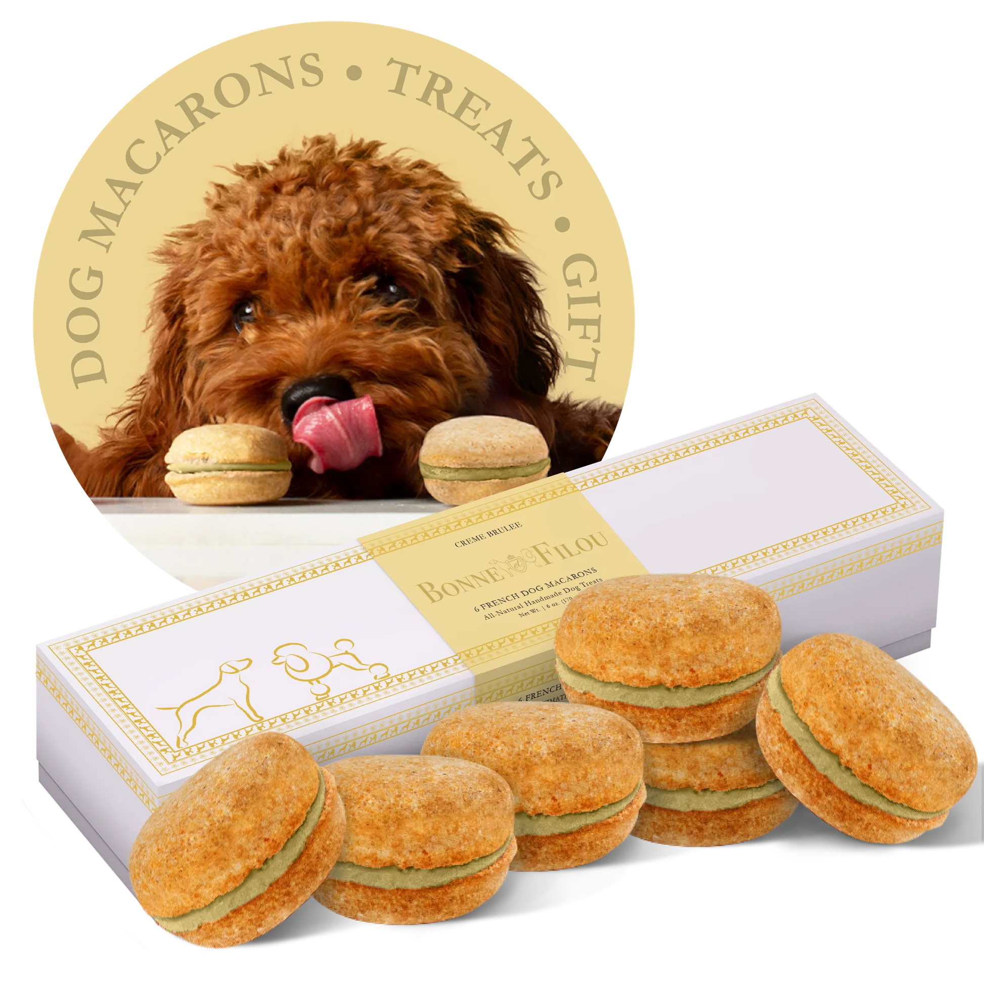 Dog Macarons - Box of 6 (Available in 12 Flavors) - Your Pet Connection