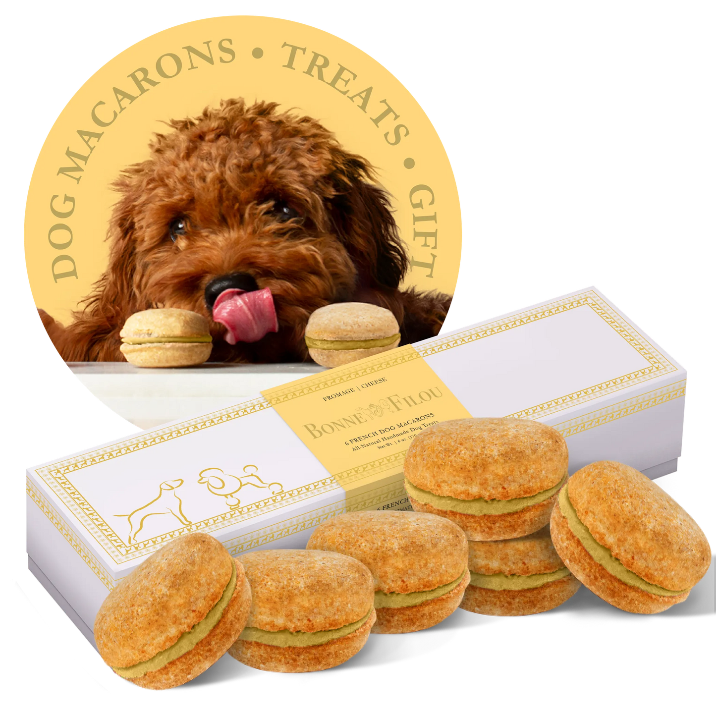 Dog Macarons - Box of 6 (Available in 12 Flavors) - Your Pet Connection