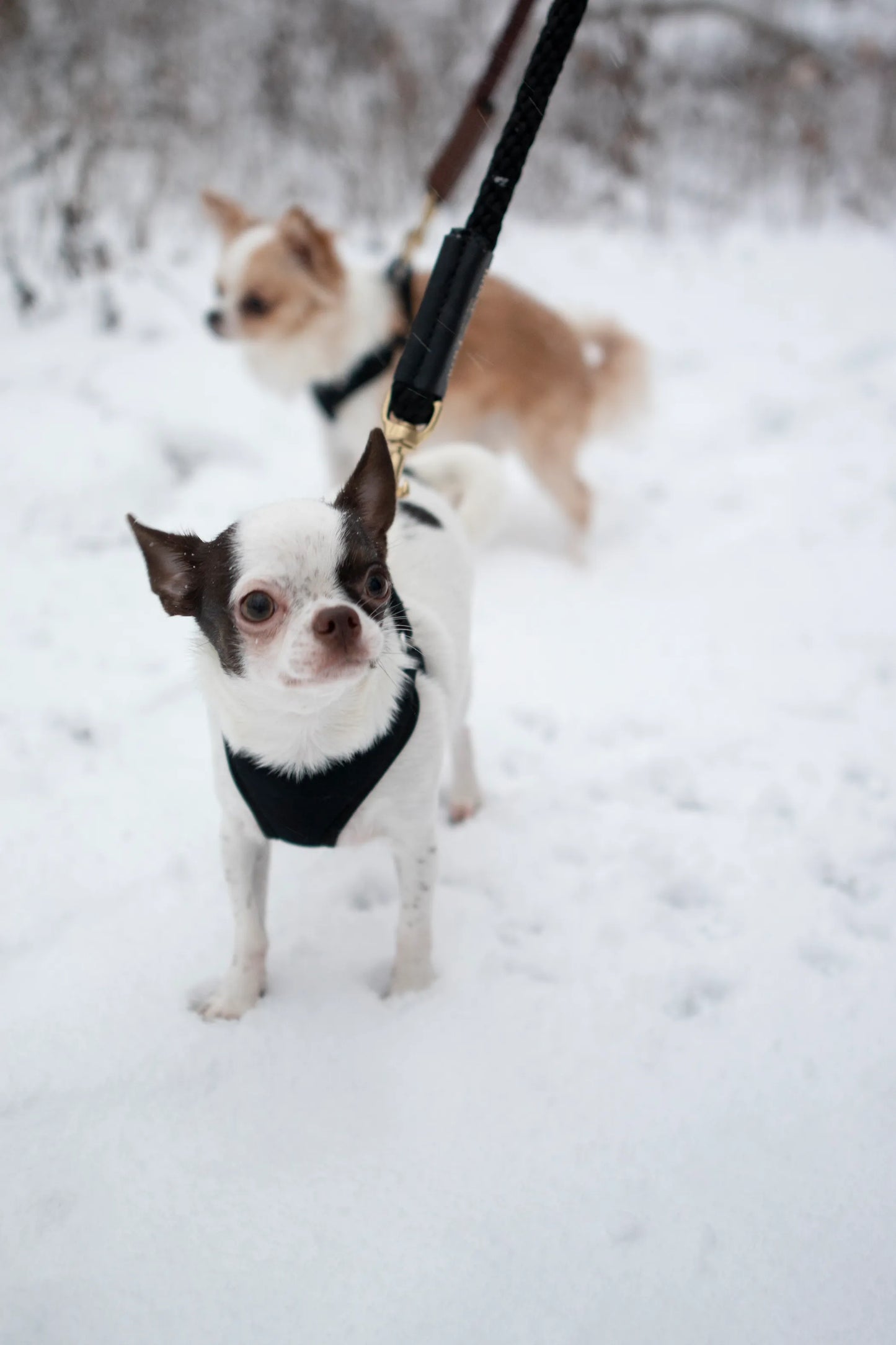Shearling Fur Grip - Your Pet Connection