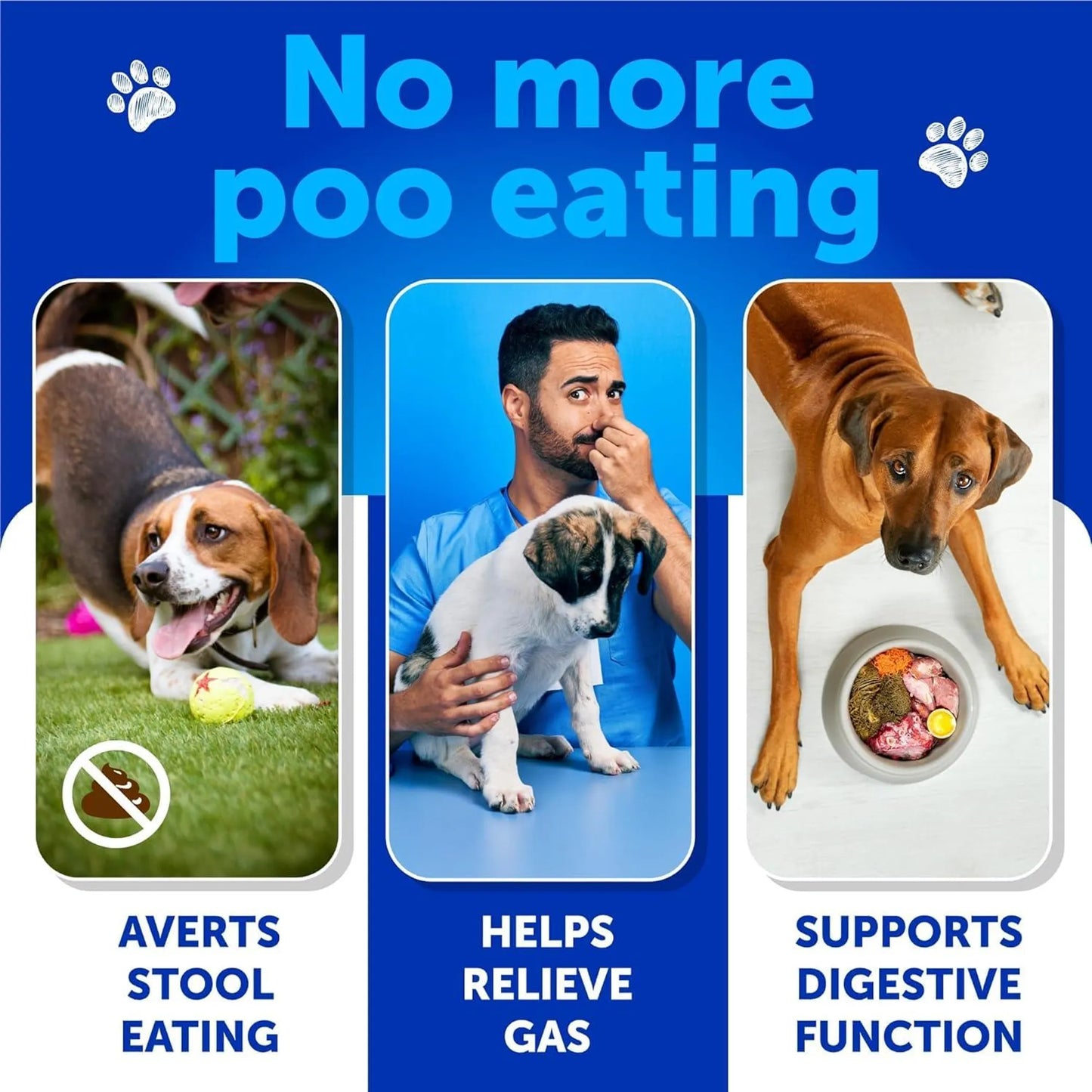 No Poo Chews for Dogs