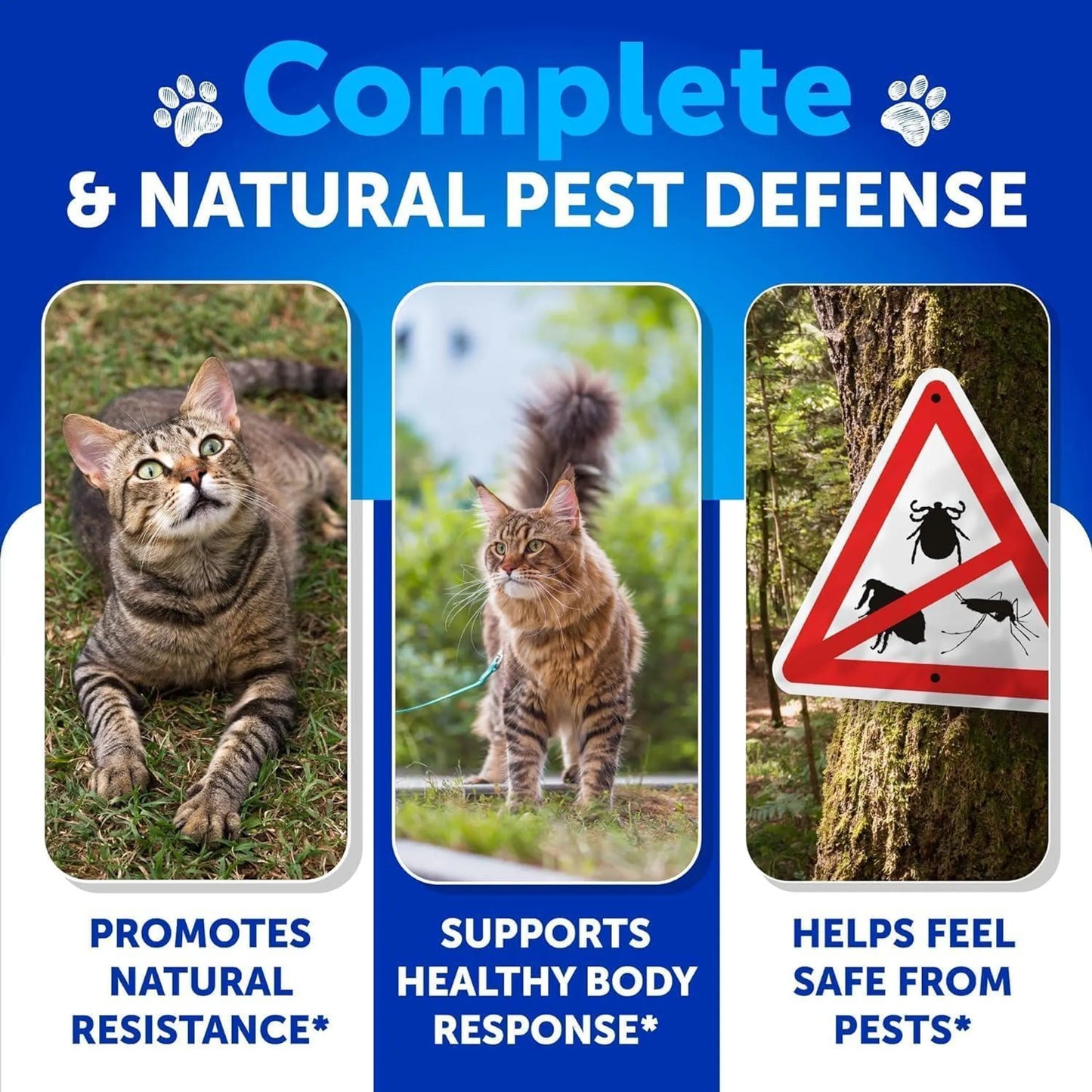 Flea Treatment for Cats Natural Flea and Tick - Your Pet Connection