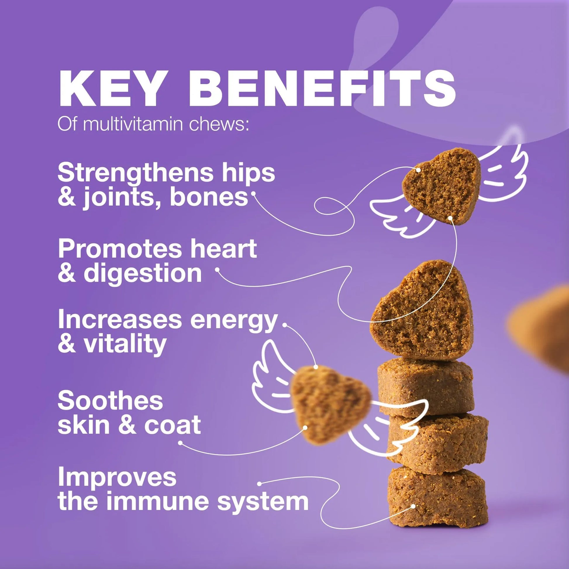 Dog Vitamins 15 in 1 Dog Multivitamin Chews - Your Pet Connection