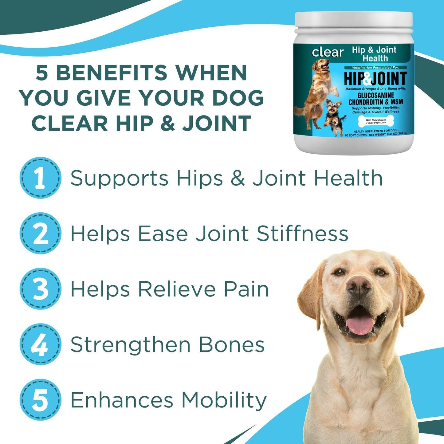 Clear Hip & Joint Health for Dogs - Your Pet Connection