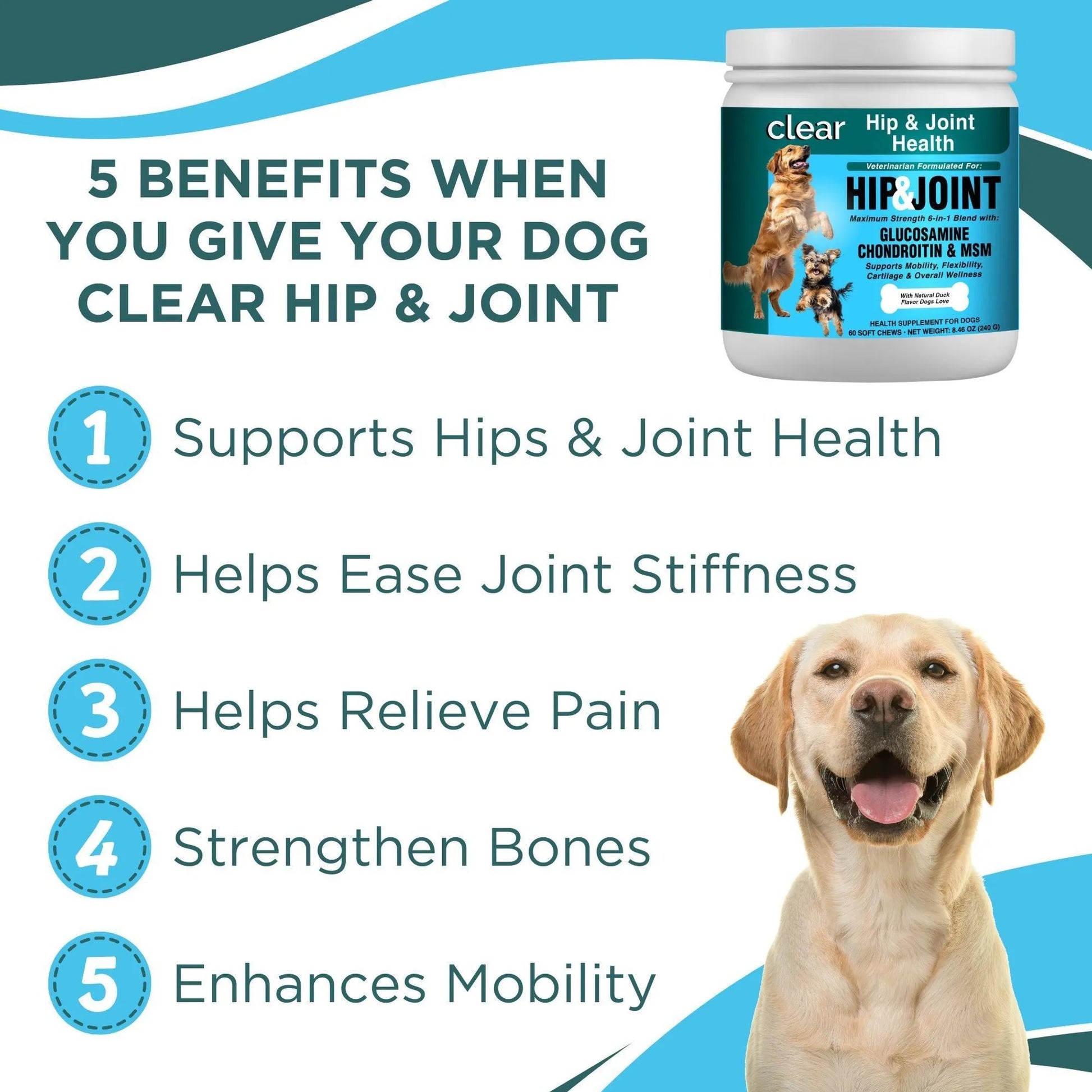 Clear Hip & Joint Health for Dogs - Your Pet Connection
