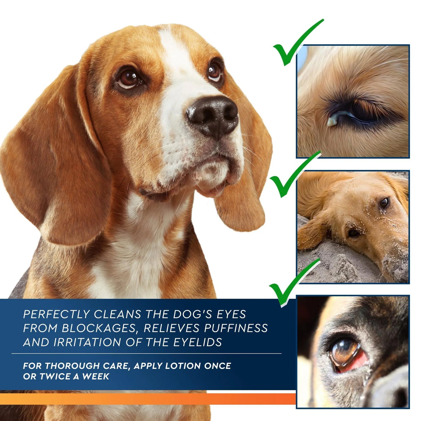 Beloved Pets Eye Cleaner Lotion 100ml