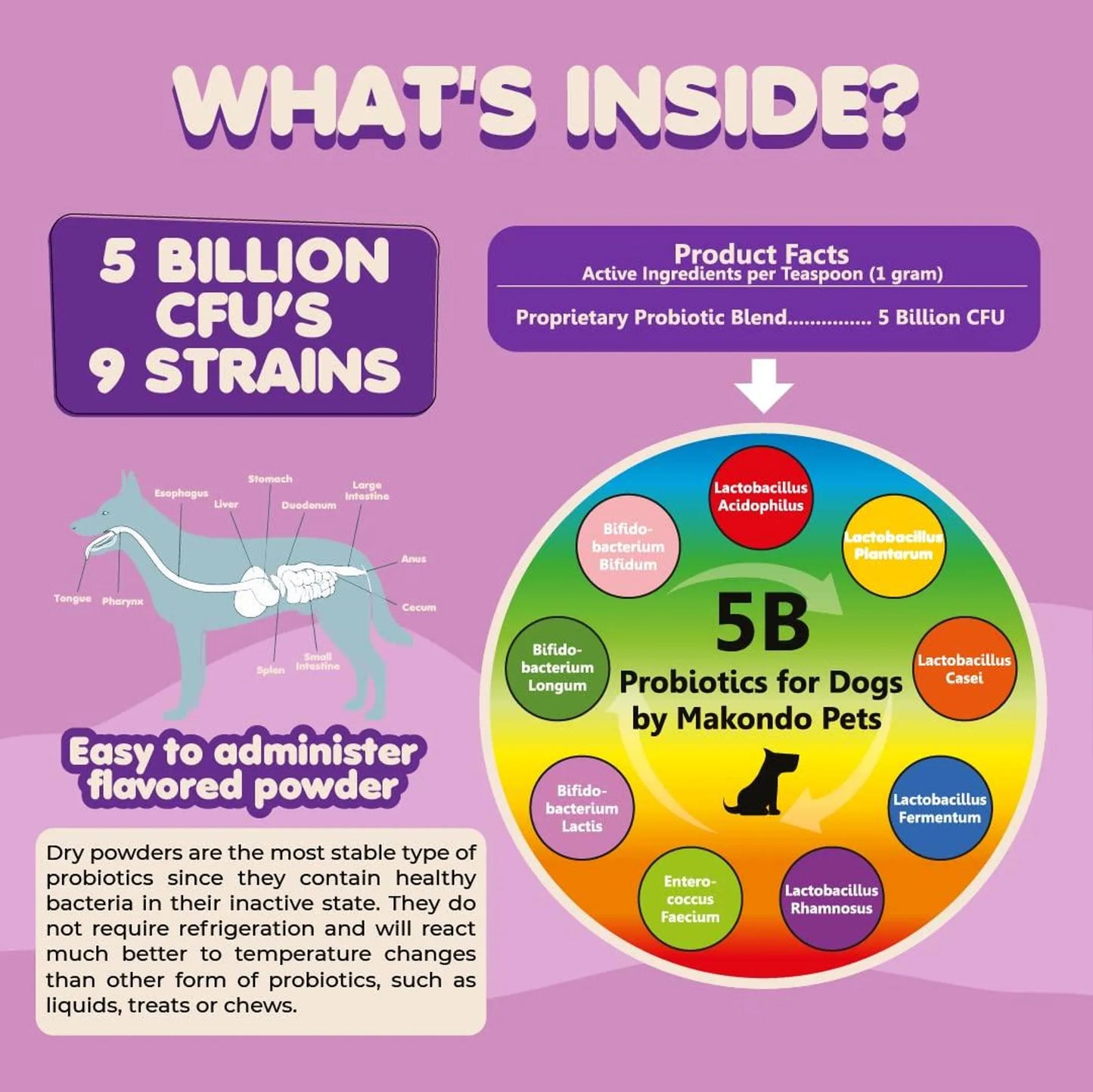 Probiotics for Dogs & Puppies - Your Pet Connection