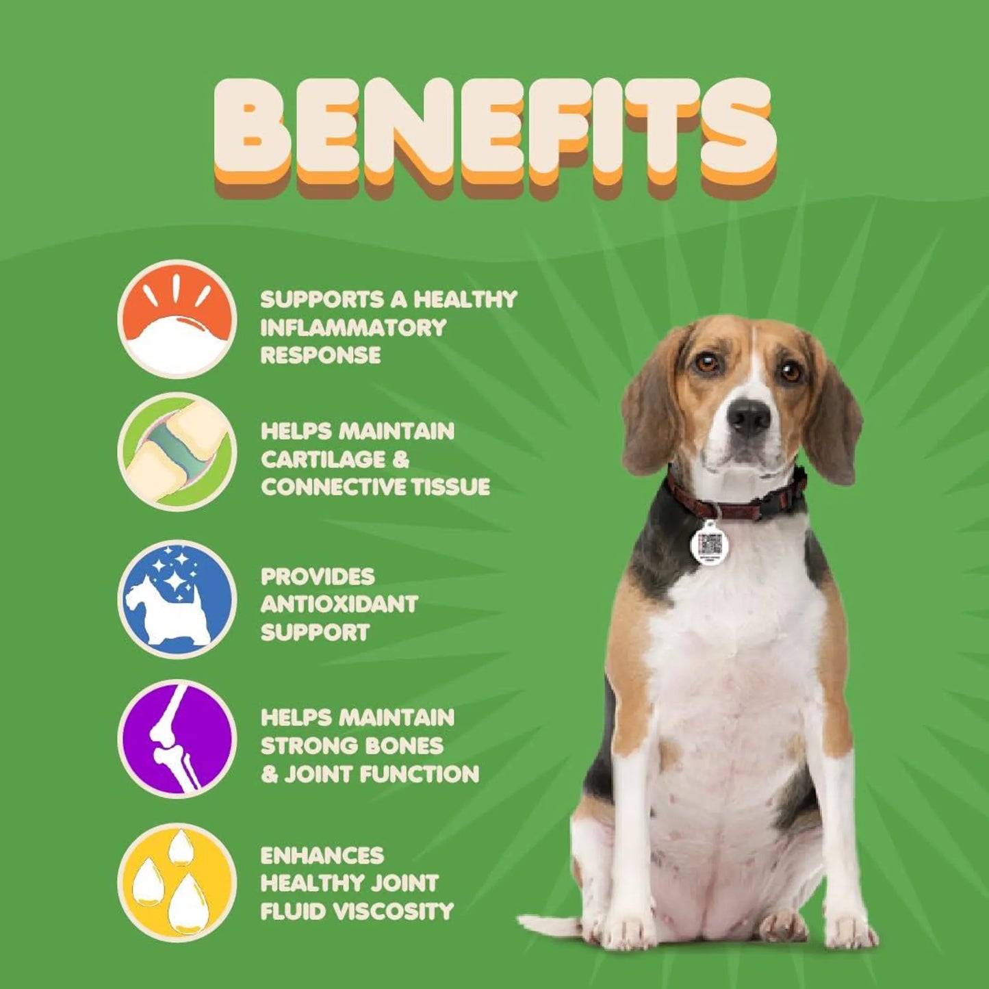 Dog Hip and Joint Supplement with Glucosamine Turmeric for Dogs - Your Pet Connection