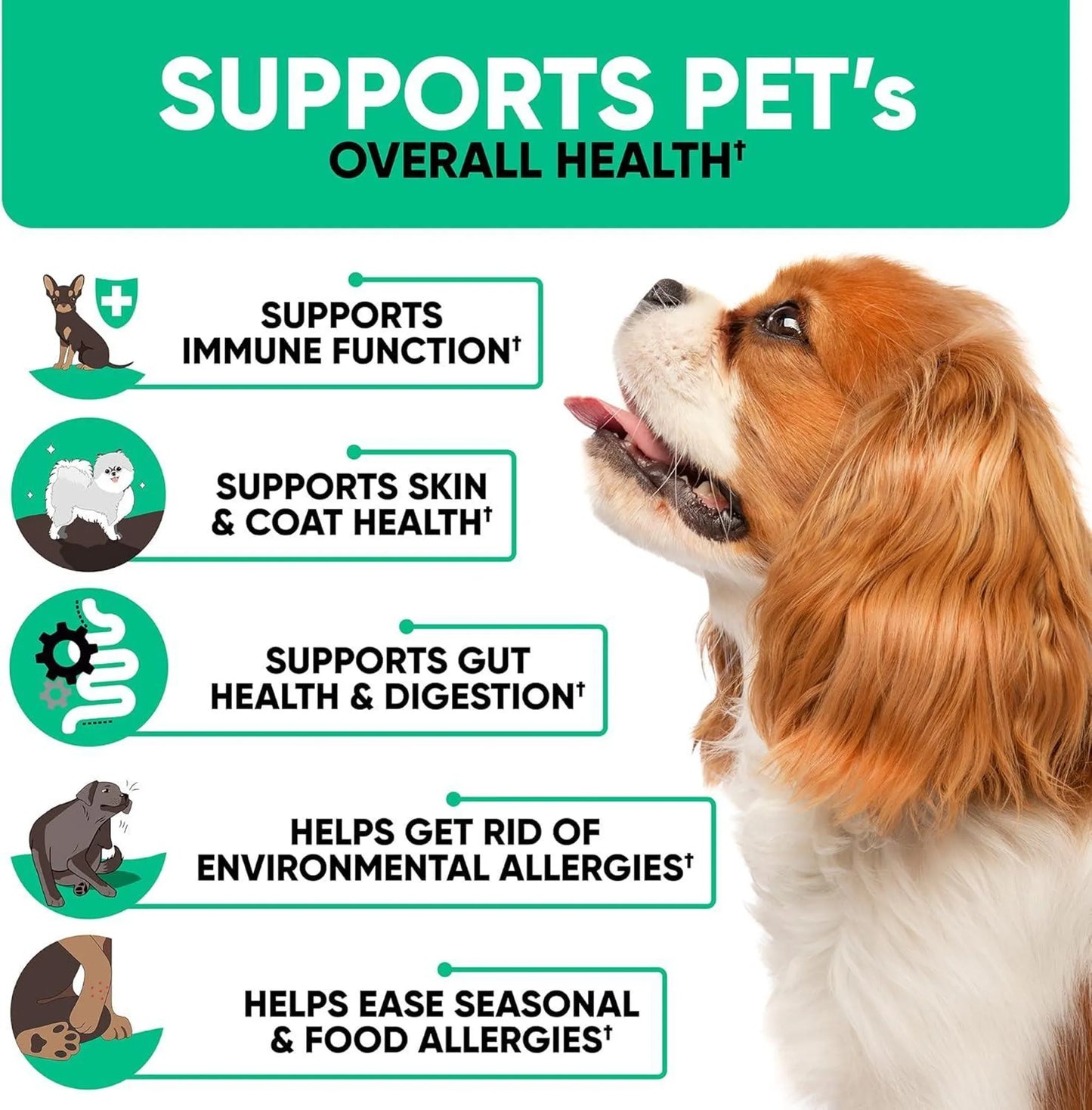 Natural Dog Allergy Chews for Dog Itch - Your Pet Connection