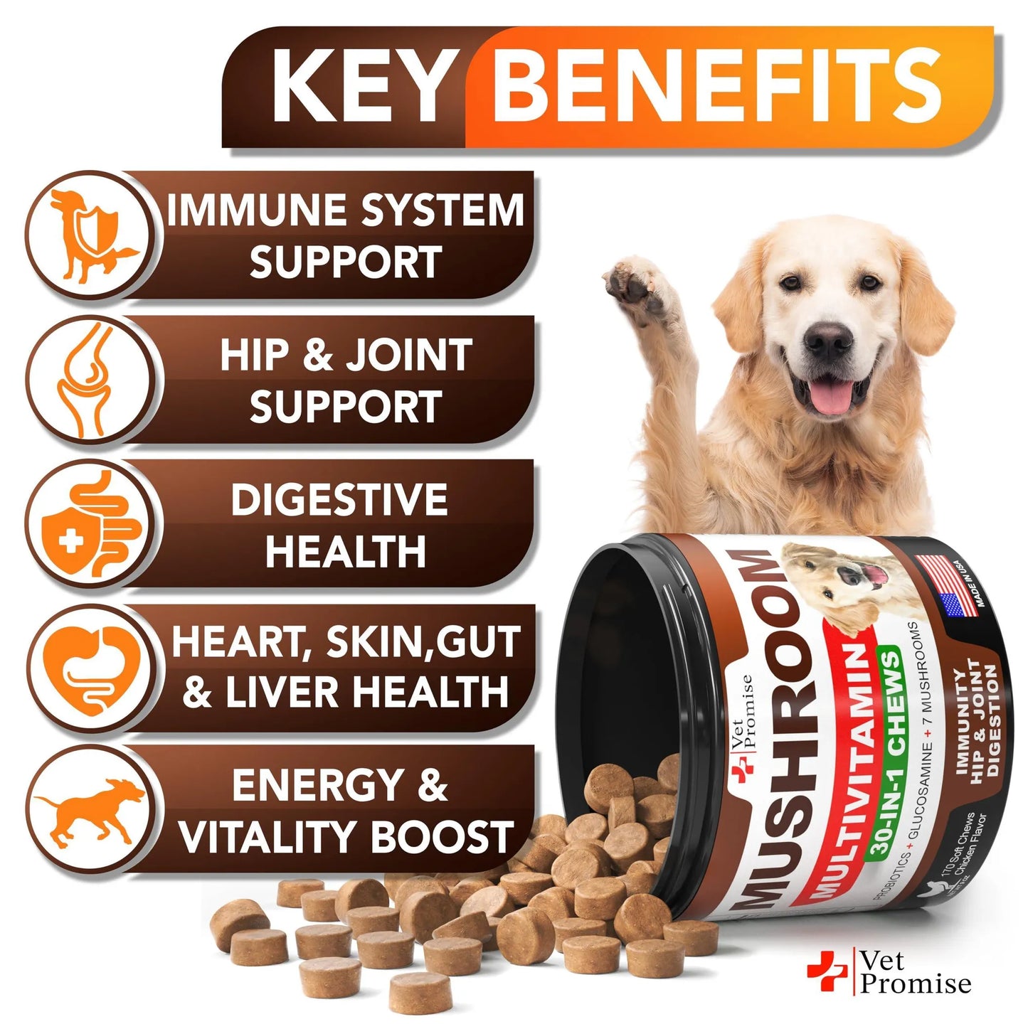 Vet Promise Dog Multivitamin Chews 150g