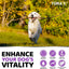 2 Pack Multivitamin Treats for Dogs Made in USA - Your Pet Connection