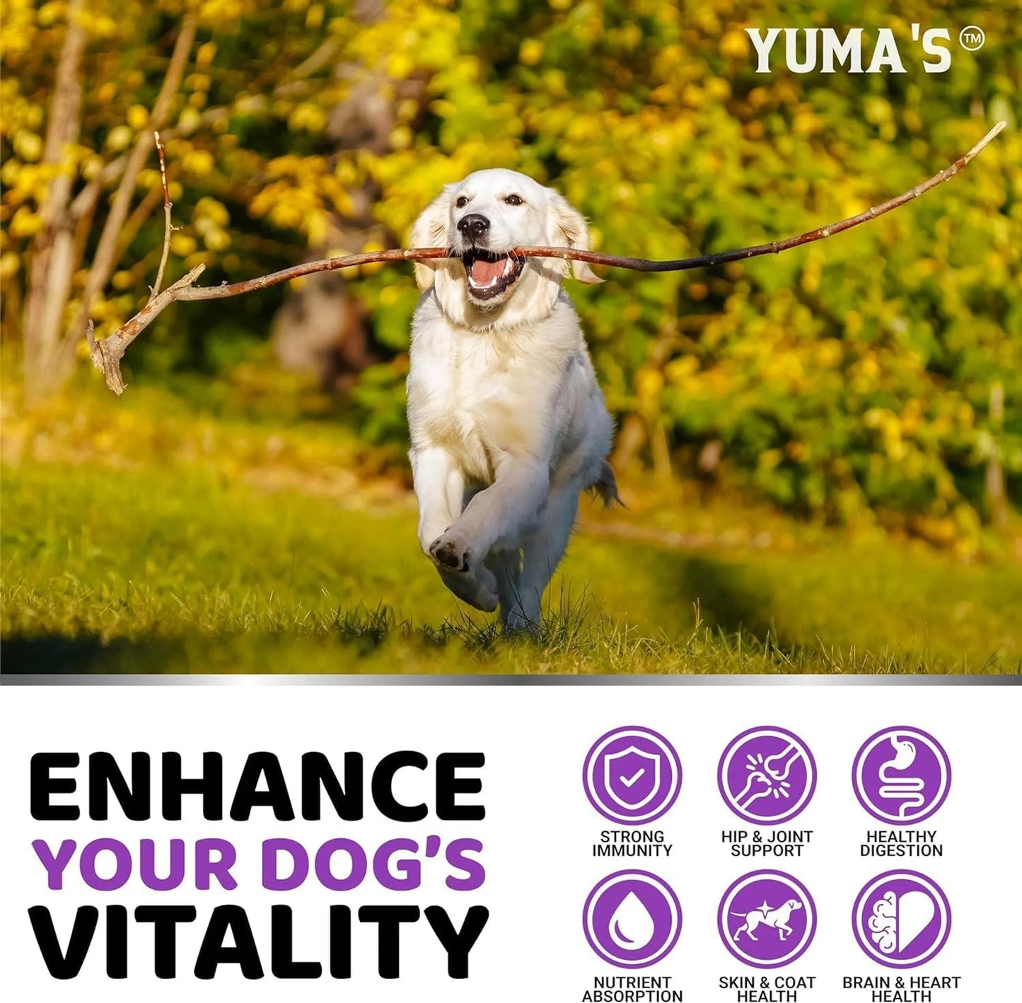 Yuma'S Multivitamin Dog Chews - 30 Count