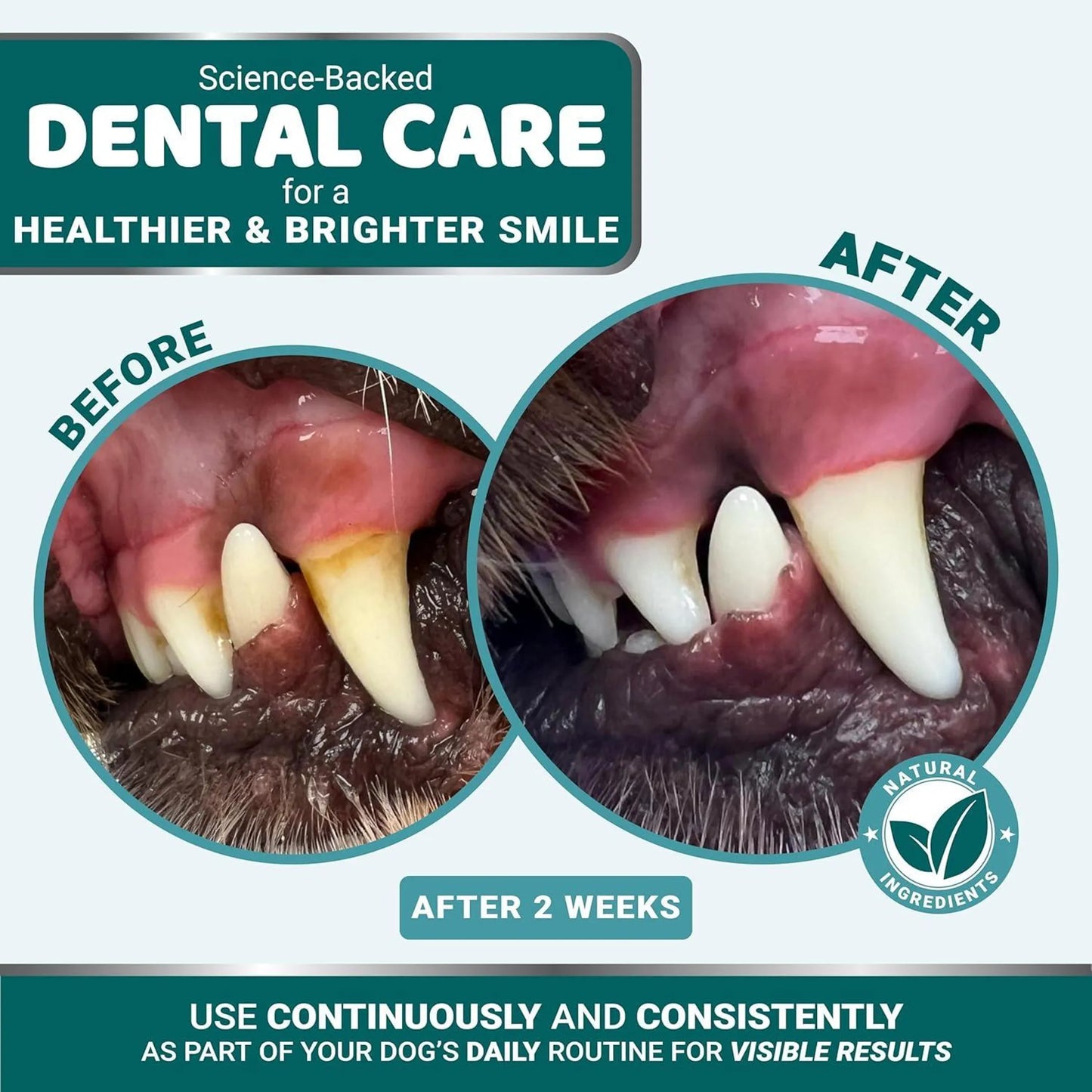 Yuma'S Advanced Pet Dental Powder 150g