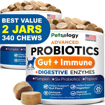 Dog probiotic chew supplement for digestive health and comfort