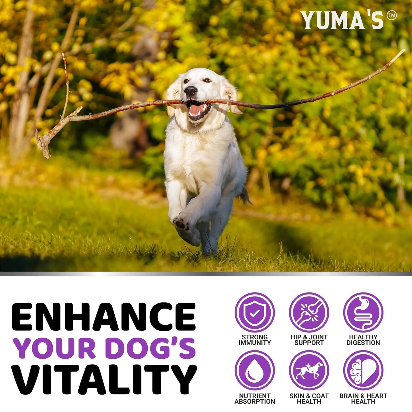 Yuma'S 23-in-1 Dog Multivitamin 170 Chews