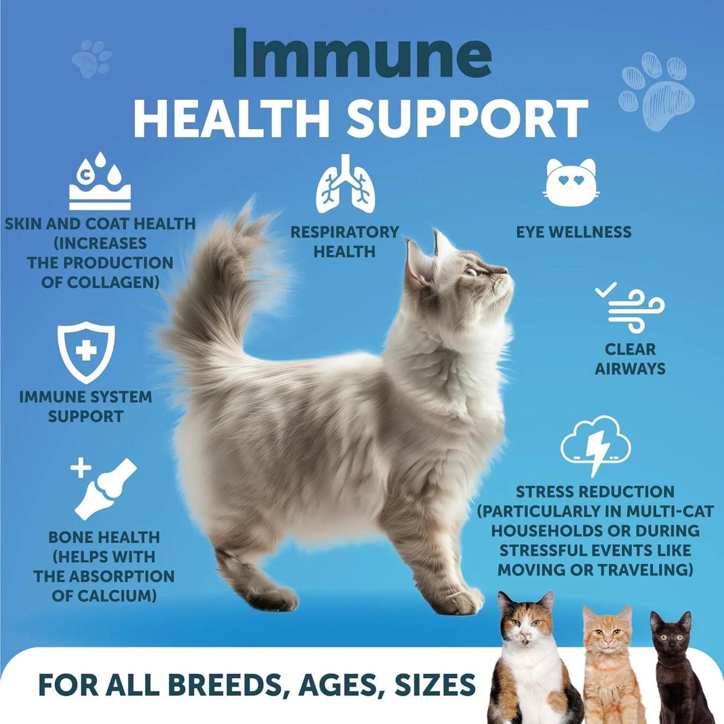 Artullano Cat Immune Booster L-Lysine Powder 150g