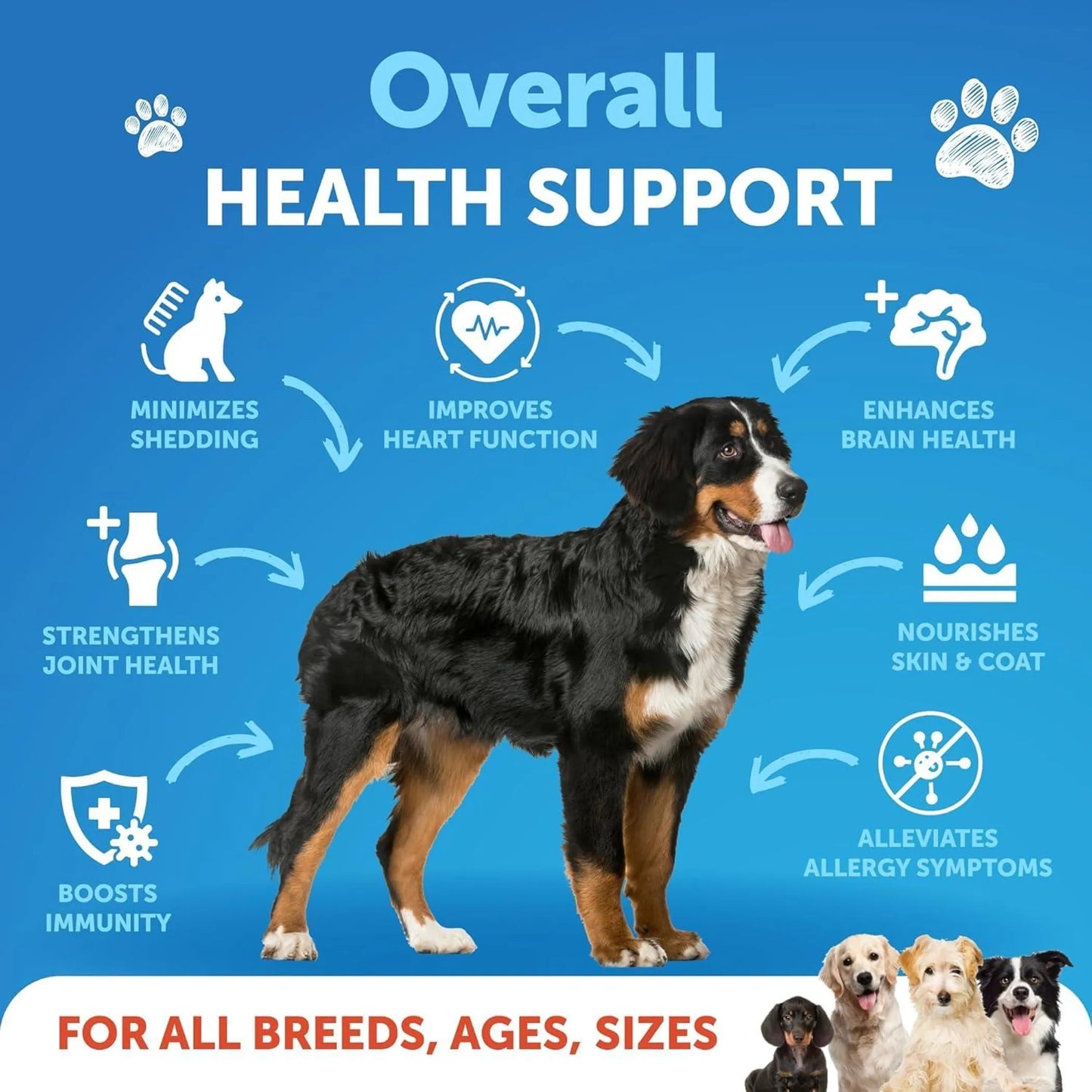 Omega 3 Fish Oil for Dogs