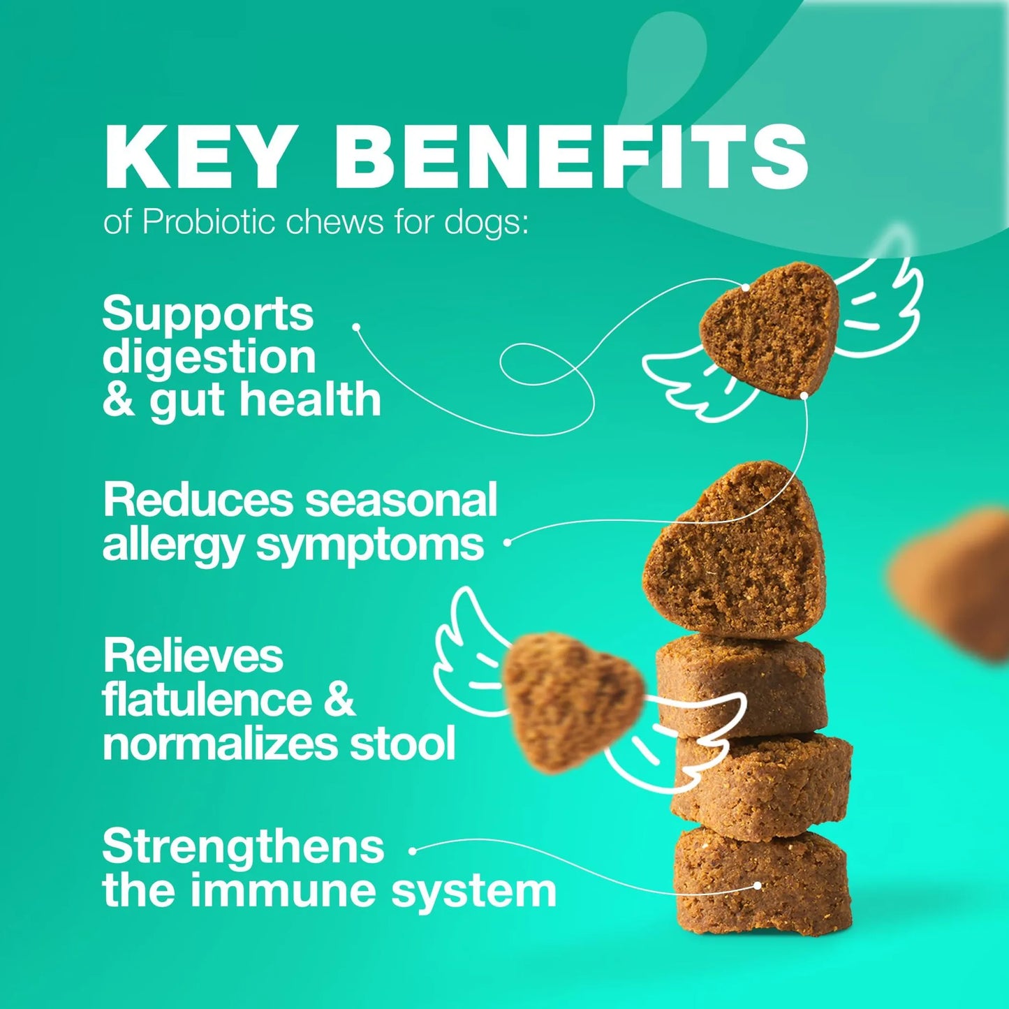 Chewia Probiotics Duck Flavor 250g