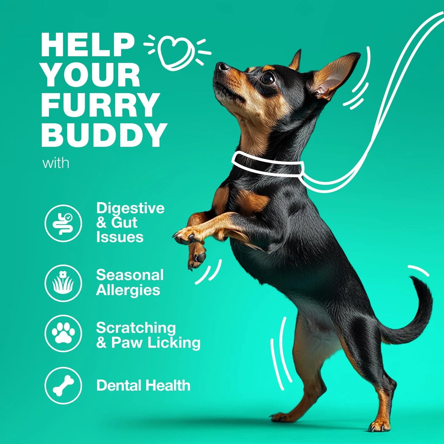 Chewia Probiotics Duck Flavor 250g